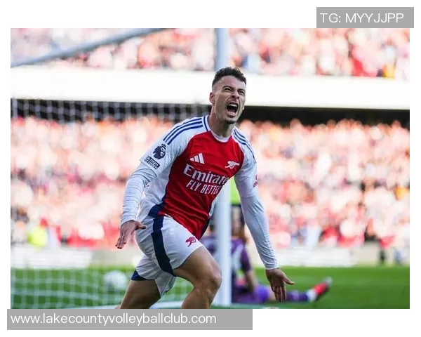 马丁内利：从青涩小将到足球场上的璀璨明星之路